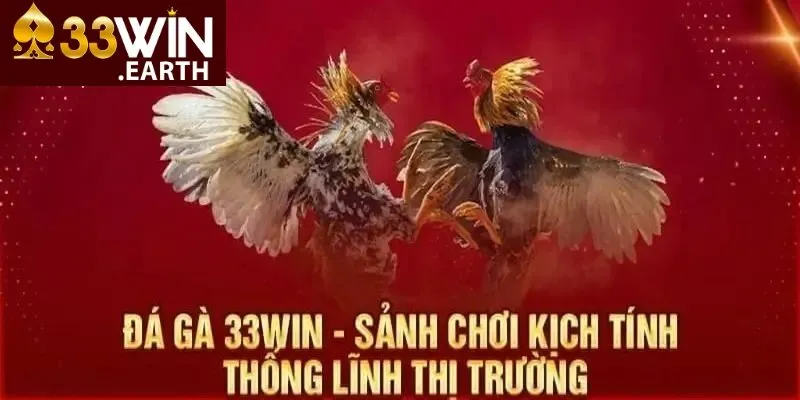 Đá Gà 33win 2 Lợi ích cực kỳ hấp dẫn mà đá gà 33win đem lại cho anh em