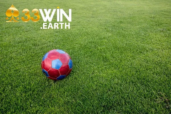 Bóng Đá Cỏ: Kinh Nghiệm Đặt Cược Hiệu Quả 2025 4 Bí quyết đạt hiệu suất cao khi phân tích tỷ lệ cược trong bóng đá sân cỏ.